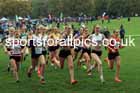 Girls Under-15s relay, 2025 Northern Cross Country Relays, Graves Park, Sheffield. Photo: David T. Hewitson/Sports for All Pics